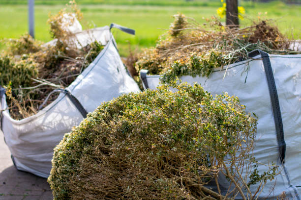 Best Local Junk Hauling  in Nixon, PA